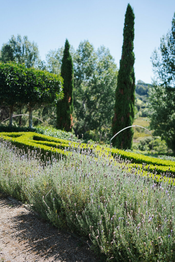 Wedding at Poderi Crisci in Waiheke Island, Auckland