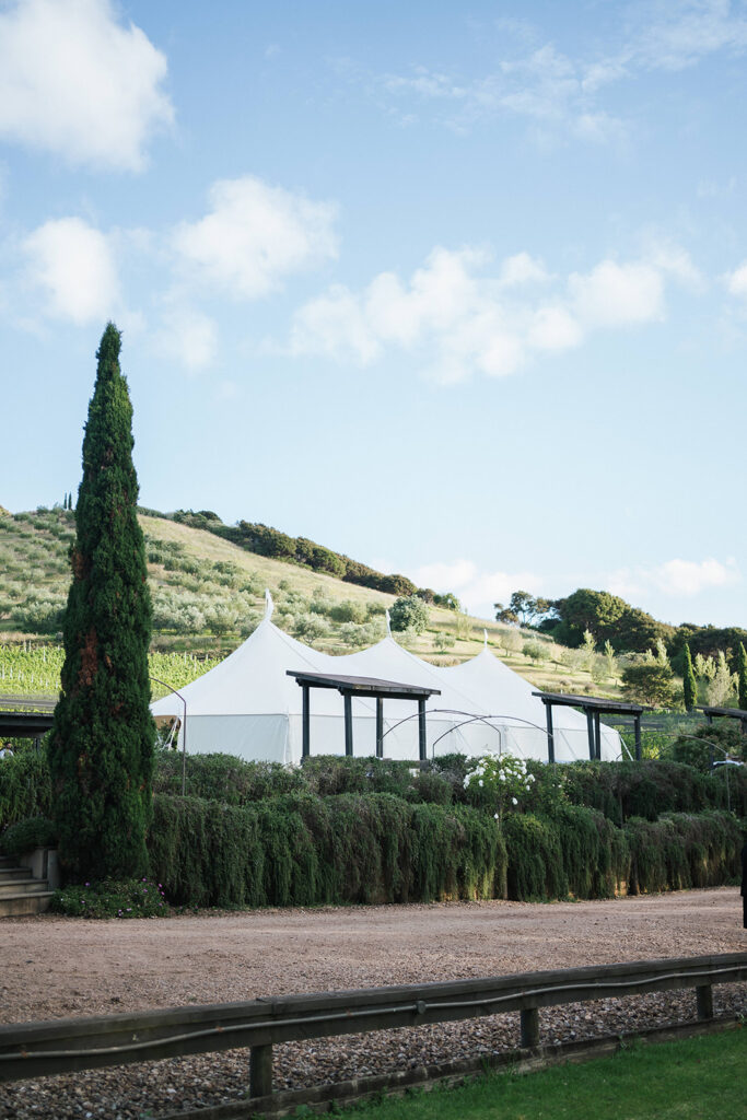 Wedding at Poderi Crisci in Waiheke Island, Auckland