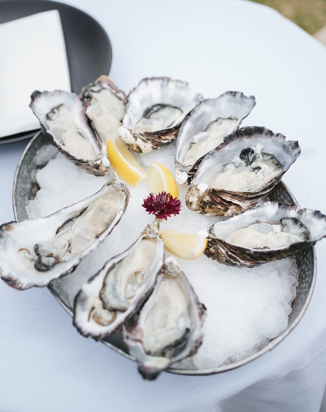 Oysters served at Wedding at Poderi Crisci in Waiheke Island, Auckland