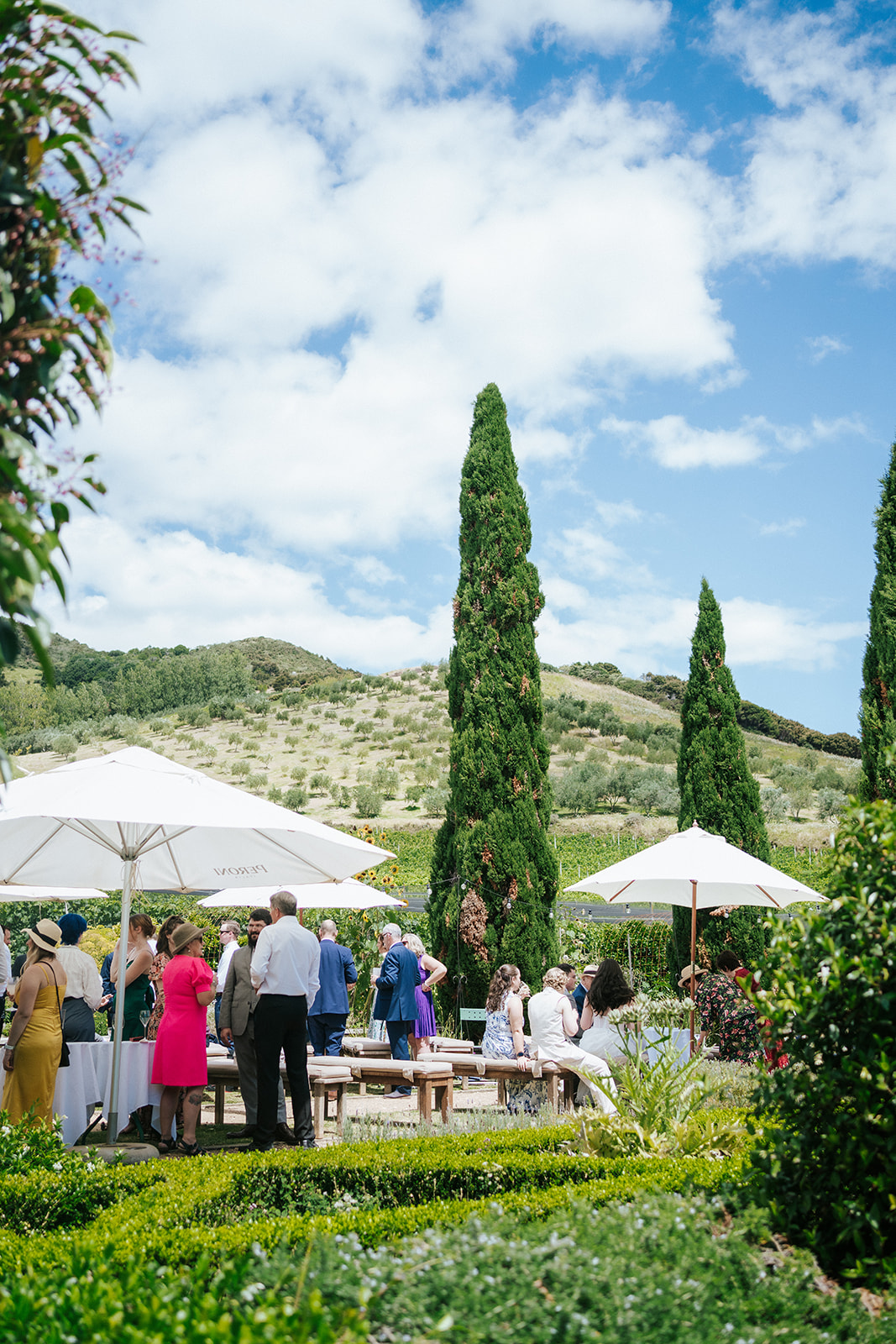 Wedding at Poderi Crisci in Waiheke Island, Auckland